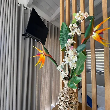 Grey Sea View Estate - Luxury With Private Pool & Plunge Pool 住宿加早餐酒店 4*